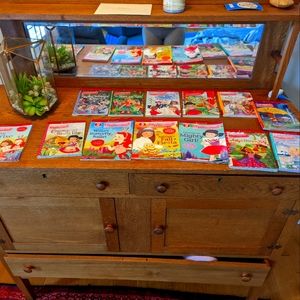 Wellie wishers book collection/lot